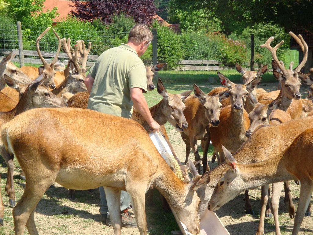 Giglerhof Διαμέρισμα Bad Birnbach Δωμάτιο φωτογραφία